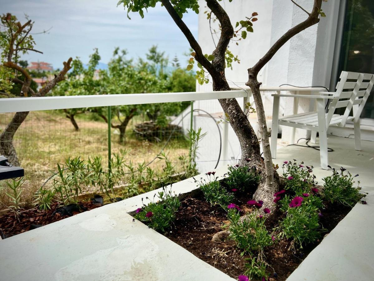 Cozystudio Chalkida Exterior photo